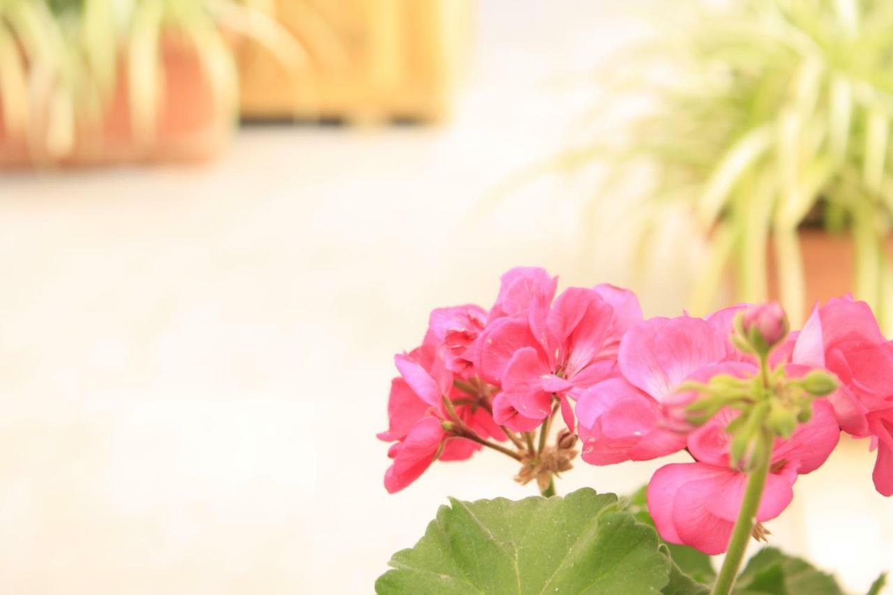B&B d'Orleans Palermo Dış mekan fotoğraf